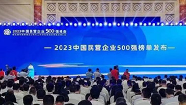 球友会集团位列2023中国民营企业500强第203位、2023中国制造业民营企业500强第139位